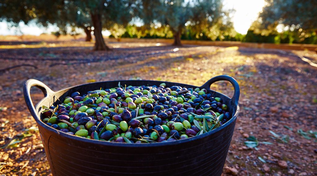 pylos-rental-september-vacation-holidays