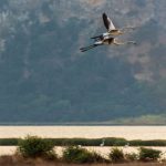 autumn-pylos-rental-studio-centro-rental-apartment