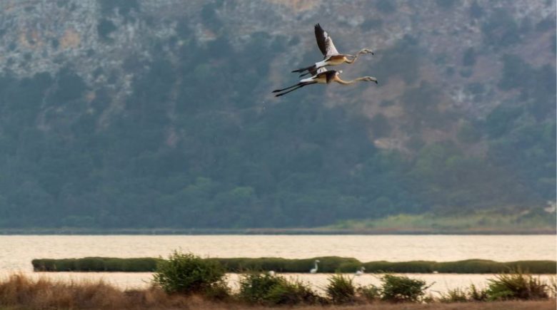 autumn-pylos-rental-studio-centro-rental-apartment